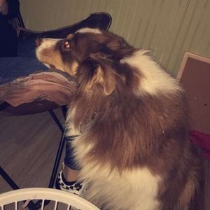 Meet your Posher, Camille